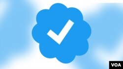 Blue tick