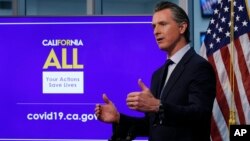 Thống đốc California Gavin Newsom.