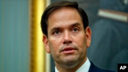 Thượng nghị sĩ Marco Rubio.