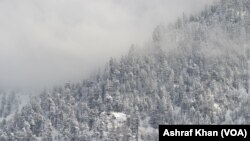 تصاویر: وادی سوات نے بھی برف کی چادر اوڑھ لی