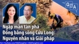 Ngập mặn tàn phá Đồng bằng sông Cửu Long: Nguyên nhân và Giải pháp