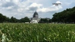 Washington'daki Ulusal Park Restore Ediliyor