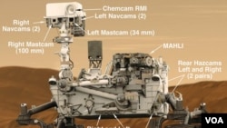 Curiosity Rover 1000