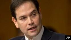 Thượng nghị sĩ Marco Rubio.