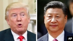 Cuộc gặp giữa Chủ tịch TQ Tập Cận Bình và Tổng thống Mỹ Donald Trump có thể diễn ra vào tháng 4/2017.