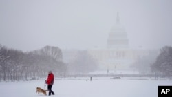 Yon moun mache ak chyen li nan pak ki tou pre Capitol la, pandan yon tanpet nej nan Washington, Lendi 6 Janvye 2025.