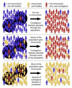 Herd Immunity