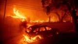 California Wildfires