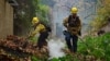 Lính cứu hỏa nỗ lực dập tắt đám cháy ở Mandeville Canyon thuộc Los Angeles, California, ngày 11/1/2025, trong lúc Đám cháy Palisades vẫn tiếp tục bùng phát.