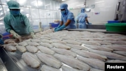 Công nhân chế biến cá fillet ở Công ty Biển Đông, Cần Thơ, Việt Nam (ảnh tư liệu, 2017; REUTERS/Kham)