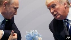 Tổng thống Mỹ Donald Trump và Tổng thống Nga Vladimir Putin 