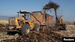 A truck is loaded with sugar cane at a plantation in Cantaranas March 23, 2006.Honduras has become the second Central American nation to make legal and regulatory changes needed to implement a hard-fought free trade agreement with the U.S.. The U.S…